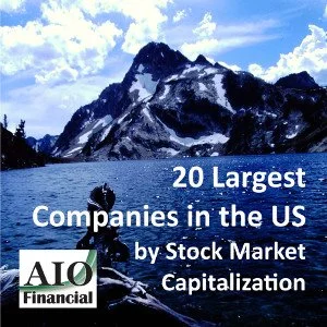 30-Twenty-Largest-Companies