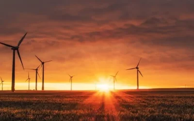 Socially Responsible Investment Performance vs Traditional Investments