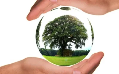 Greenbacker Renewable Energy Investment