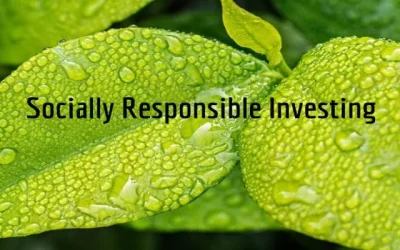 Calvert Socially Responsible Index Mutual Funds