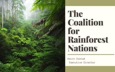 The Coalition for Rainforest Nations – Effectively fighting Climate Change