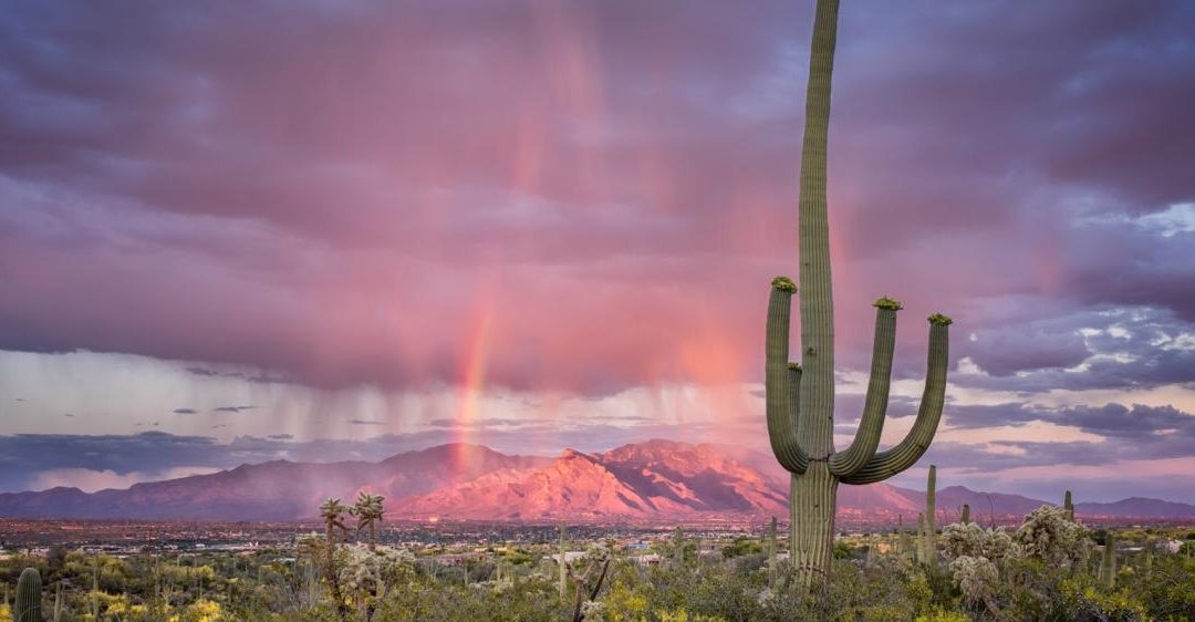 why Tucson is the best for affordable living and vibrant lifestyle