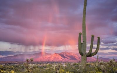 Why Tucson is the Ideal Place to Live for Financial and Lifestyle Success