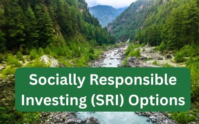 Socially Responsible Investing Options